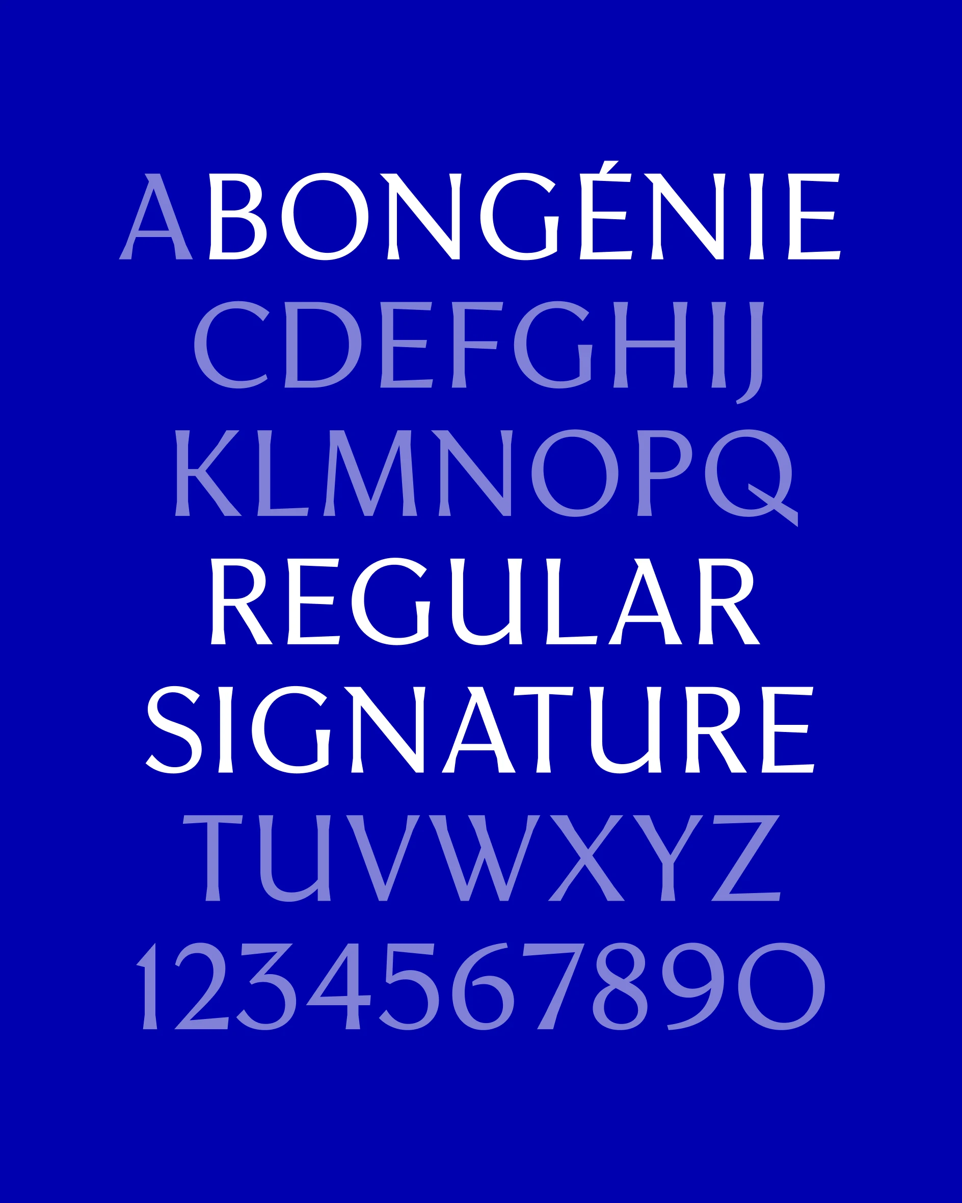 Logotype for Bongénie featuring a bespoke typeface by Vincent Sauvaire