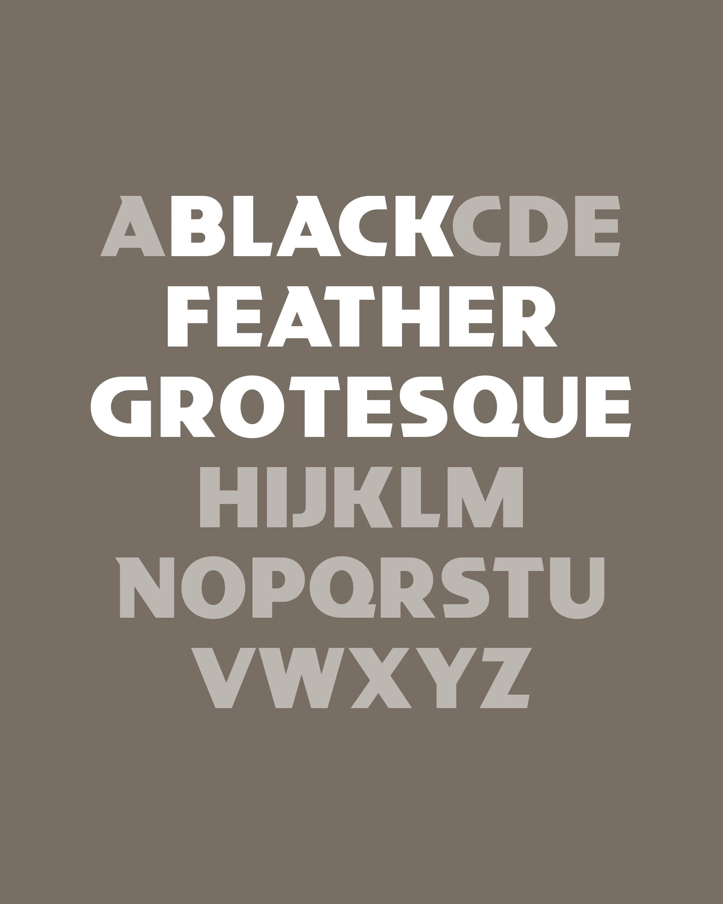 FK Feather Grotesque Black